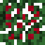Cherry (Fruit).png