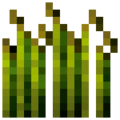 Wheat (8).png