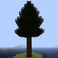 Sequoia Tree.png