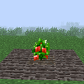 Red Bell Pepper (Mature).png